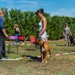 2022-06 - Club d'éducation canine de Vaugneray - 107- Séverine et Oscar (boxer) au premier plan